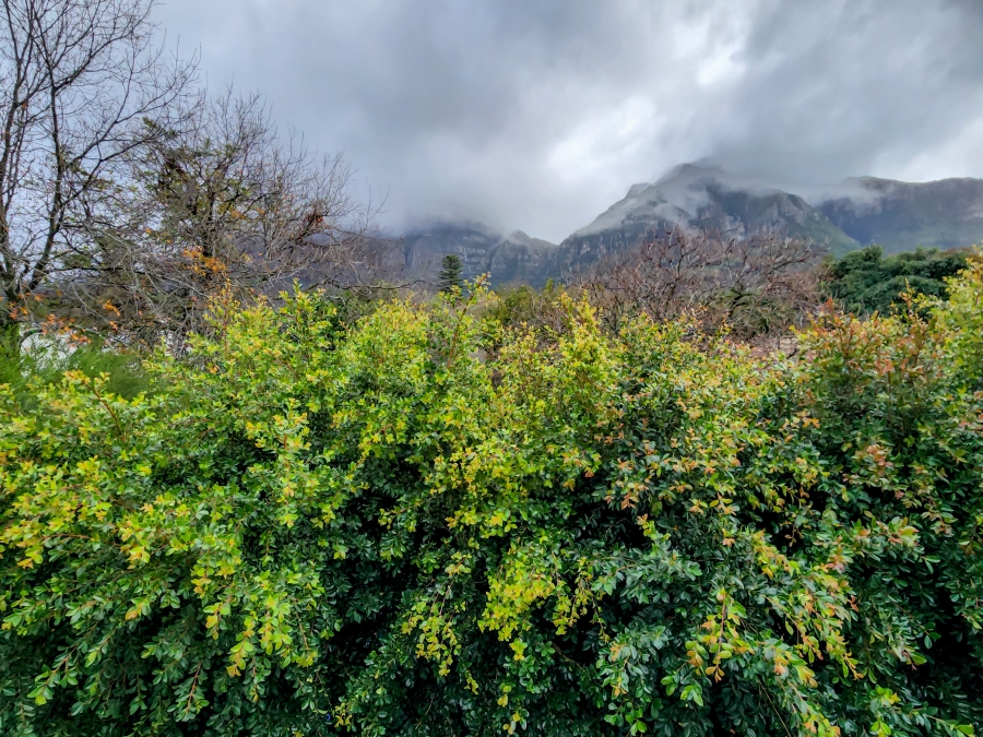 3 Bedroom Property for Sale in Rondebosch Western Cape